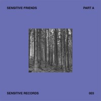 Purchase VA - Sensitive Friends - Part A