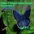 Buy Sergey Nevone & Simon O'shine - Butterfly Flight (EP) Mp3 Download