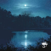 Purchase Planes Mistaken For Stars - Do You Still Love Me?