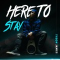 Buy Tyson James - Here To Stay Mp3 Download