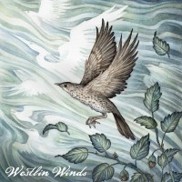 Purchase The Wilderness Yet - Westlin Winds