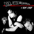 Buy Mr. Underhill - The World Through X-Ray Eyes (With Nim Vind) Mp3 Download