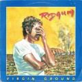 Buy Redgum - Virgin Ground (Vinyl) Mp3 Download