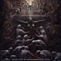 Purchase Infectology - Deification Of Anthropophagical Rites