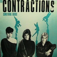 Purchase The Contractions - Something Broke (Vinyl)