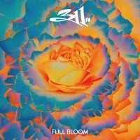 Purchase 311 - Full Bloom