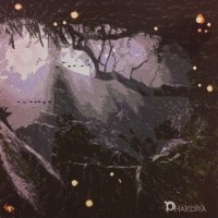 Purchase Phaedra & Understars - Seed / Forestfunk I (EP)