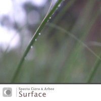 Purchase Specta Ciera - Surface (With Arbee)