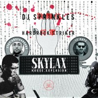 Purchase VA - Skylax House Explosion CD1