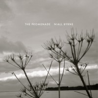 Purchase Niall Byrne - The Promenade