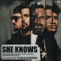 Purchase Dimitri Vegas & Like Mike, David Guetta, Afro Bros - She Knows (With Akon) (CDS)