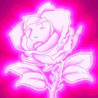 Purchase Irene Dresel - Rose Fluo