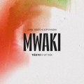 Buy Zerb & Sofiya Nzau - Mwaki (Tiësto's Vip Mix) (CDS) Mp3 Download