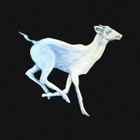 Purchase Cloud Cafe - Gift Horse