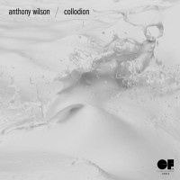 Purchase Anthony Wilson - Collodion