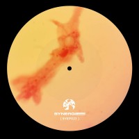 Purchase Faïg & Burden - Parallel Realities