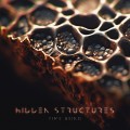 Buy Time Being - Hidden Structures Mp3 Download