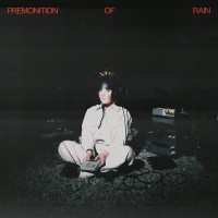 Purchase A.G. Sully - Premonition Of Rain