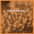 Buy Wildhoney - Seventeen Forever (EP) Mp3 Download