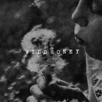 Purchase Wildhoney - Wildhoney 2013 (EP)