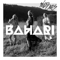 Purchase Bahari - Wild Ones (CDS)