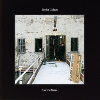 Purchase Teodor Wolgers - Our True Nature