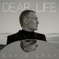 Buy David Gray - Dear Life Mp3 Download