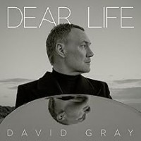 Purchase David Gray - Dear Life