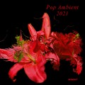 Buy VA - Pop Ambient 2021 Mp3 Download