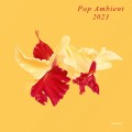 Buy VA - Pop Ambient 2023 Mp3 Download