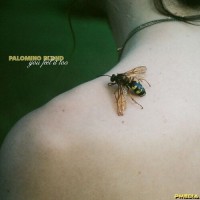 Purchase Palomino Blond - You Feel It Too