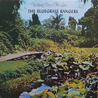 Purchase Bluegrass Rangers - Walking Down The Line (Vinyl)