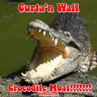 Purchase Curta'n Wall - Crocodile Moat​!​!​!​!​!​!​! (Remastered 2024)