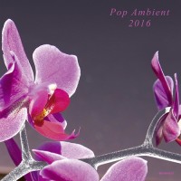 Purchase VA - Pop Ambient 2016