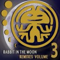 Buy VA - Rabbit In The Moon Remixes Vol. 3 Mp3 Download