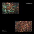 Buy Shlohmo - Bad Vibes: Rarities + Extras Mp3 Download