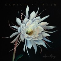 Purchase Heather Maloney - Exploding Star