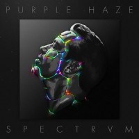 Purchase Purple Haze - Spectrvm