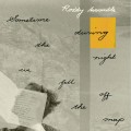 Buy Roddy Woomble - Sometime During The Night We Fell Off The Map Mp3 Download