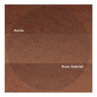 Purchase Russ Gabriel - Aonia