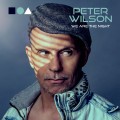 Buy Peter Wilson - We Are The Night Mp3 Download