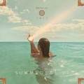 Buy VA - Summer Sol VIII Mp3 Download