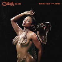 Purchase Megan Thee Stallion - Cobra (Rock Remix) (Feat. Spiritbox) (CDS)