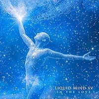 Purchase Liquid Mind - In the Love