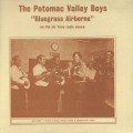 Buy The Potomac Valley Boys - Bluegrass Airborne (Vinyl) Mp3 Download