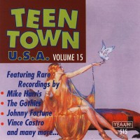 Purchase VA - Teen Town U.S.A. Vol. 15