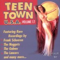 Buy VA - Teen Town U.S.A. Vol. 17 Mp3 Download