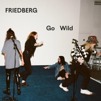 Purchase Friedberg - Go Wild (CDS)