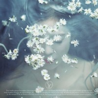 Purchase Irene - Like A Flower - The 1St Mini Album