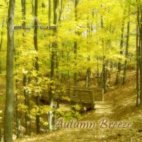 Purchase Altus - Autumn Breeze